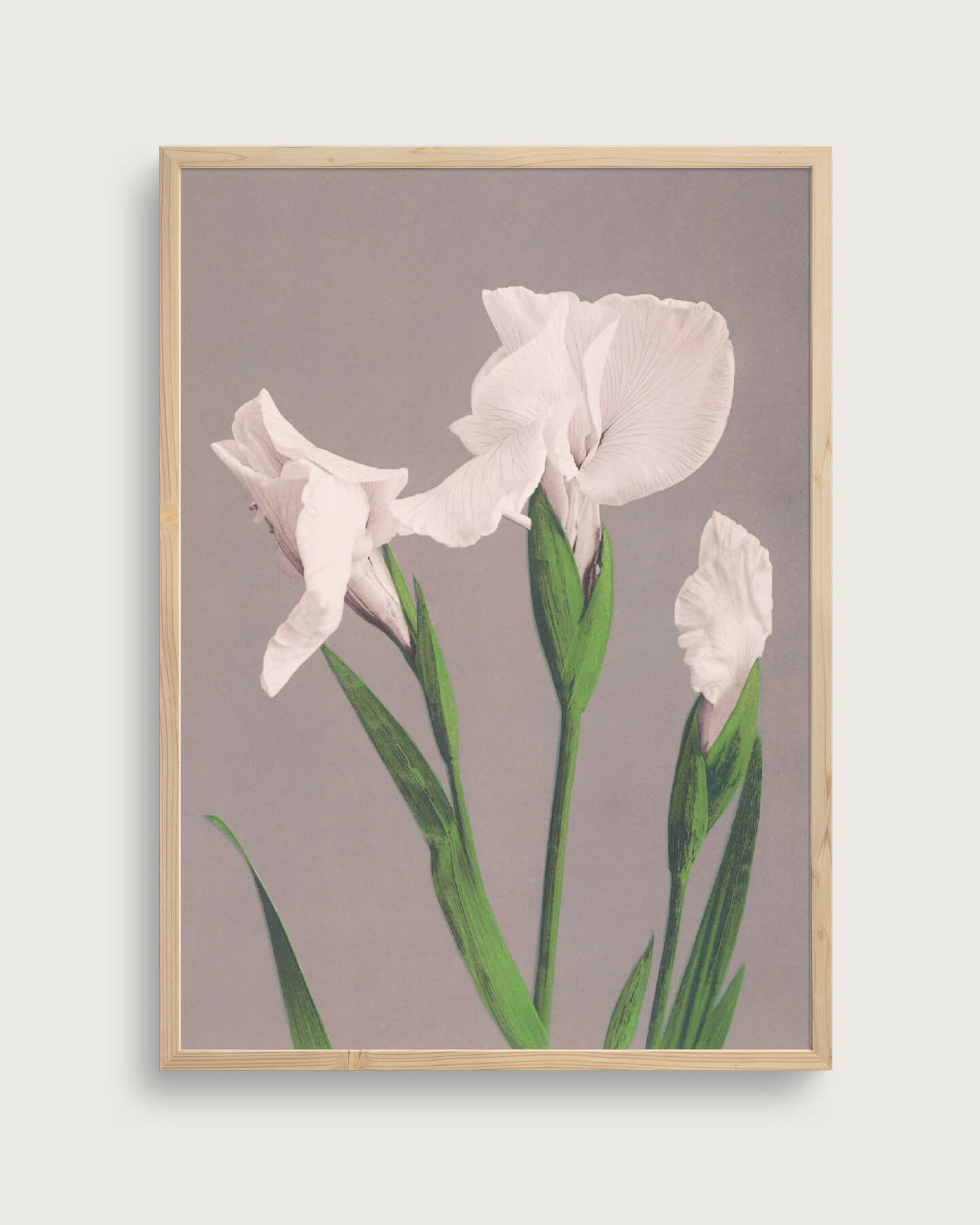 Ogawa Kazumasa Størrelse 100x140 Akustikprint Inkl Egetræsramme Taishampx14d - Plakater
