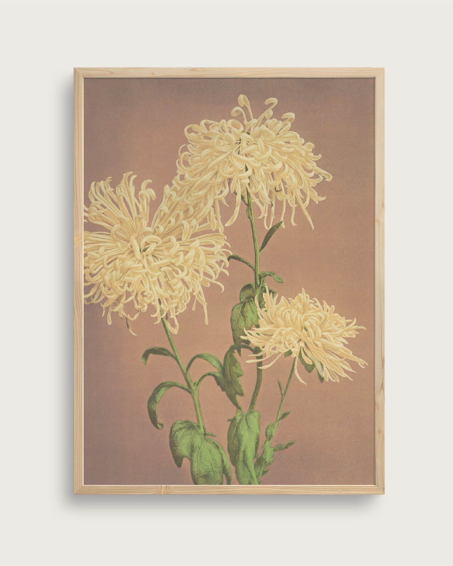 Ogawa Kazumas Størrelse 70x100 Akustikprint Inkl Egetræsramme Taishampx14d - Plakater